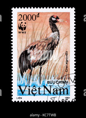 Briefmarke aus Vietnam, black-necked Crane (Grus nigricollis) Stockfoto