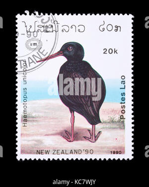 Briefmarke zeigt eine variable Austernfischer (Haematopus unicolor) Stockfoto