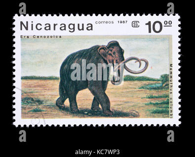 Briefmarke aus Nicaragua mit kolumbianischem Mammut (Mammuthus columbi) Stockfoto