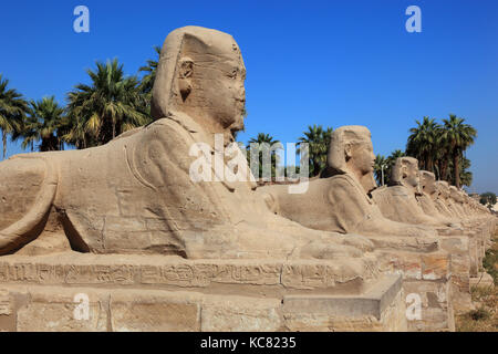 Tempel von Luxor, sphinxallee, die sich vor dem Tempel, Afrika, Oberägypten, Unesco Stockfoto