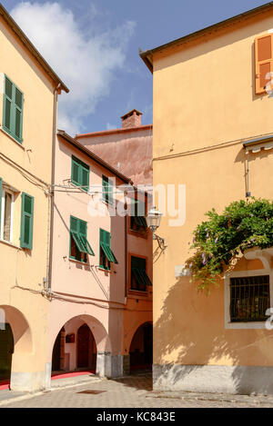 Verkürzung der grünen Kriechgang auf alten malerischen Haus im hellen, in Spätsommer Licht in Varese Ligure, Genua, Ligurien, Italien Stockfoto