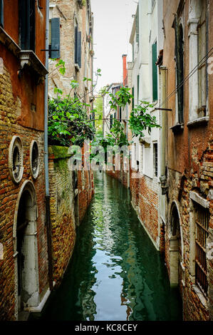 Eine ruhige zurück Wasser Kanal in Venedig mit schmalen Lücken zwischen den Häusern Stockfoto