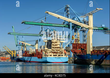 Marseille (Frankreich). 2015/03/06. Container Terminal von Marseille Fos Port (Französisch GPMM). CMA-CGM-Schiff "BF CA Roda' Stockfoto