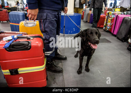 Marseille (Frankreich). 2015/04/28: Zoll Feuerwehr Gepäck Kontrolle auf einem Kreuzfahrtschiff (Cruise Line Costa Cruises) an Marseille-Fos Port. Mann Stockfoto