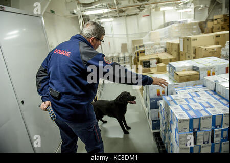 Marseille (Frankreich). 2015/04/28: Zoll Feuerwehr Gepäck Kontrolle auf einem Kreuzfahrtschiff (Cruise Line Costa Cruises) an Marseille-Fos Port. Mann Stockfoto