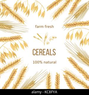 Weizen, Gerste, Hafer und Roggen. Vier Getreide Körner und Ohren. round Label, text Stock Vektor