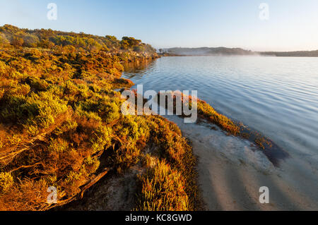 Morgennebel am Yangie Bay in Coffin Bay National Park. Stockfoto