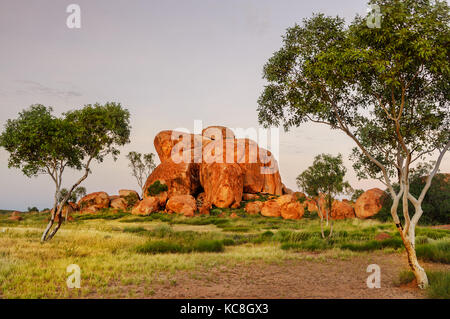 Karlu Karlu (Devils Marbles) im Morgengrauen. Stockfoto