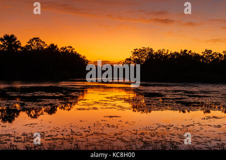 Sunrise Farben im Horseshoe Lagune in Lakefield National Park. Stockfoto