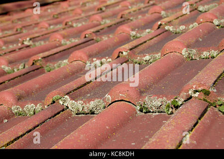 Dirty Dach und Dachrinnen gereinigt werden müssen. Problem mit Laub und Moos. Stockfoto