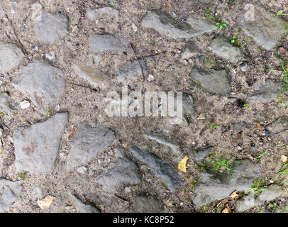 Weg des grauen Steine am Boden. Textur, Hintergrund. Stockfoto