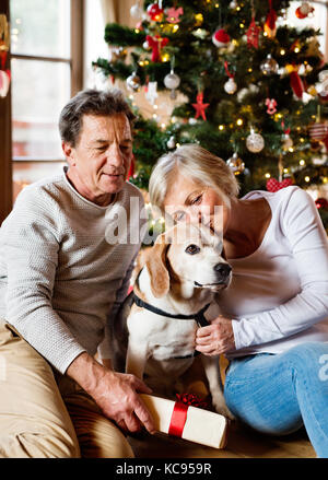 Senior Paar mit ihrem Hund sitzt auf dem Boden vor der beleuchteten Weihnachtsbaum in Ihrem Haus schenken. Stockfoto