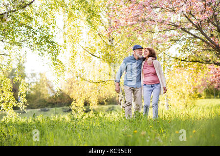 Schönes älteres Ehepaar in Liebe auf einem Spaziergang ausserhalb im Frühjahr die Natur unter blühenden Bäumen. Stockfoto