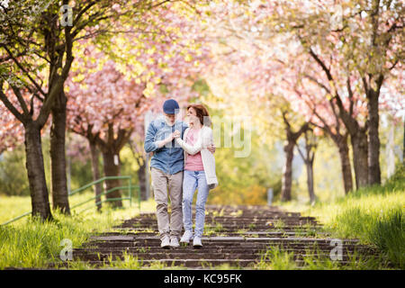Schönes älteres Ehepaar in Liebe auf einem Spaziergang ausserhalb im Frühjahr die Natur unter blühenden Bäumen. Stockfoto