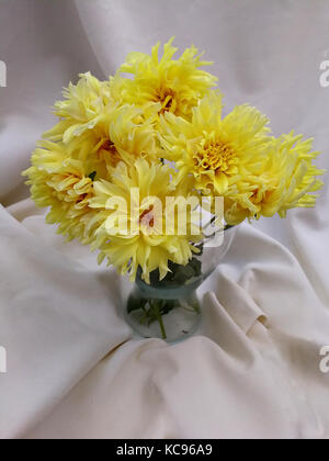 Splendid gelben Dahlien Blumenstrauß Stockfoto