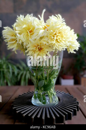 Splendid gelben Dahlien Blumenstrauß Stockfoto