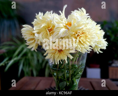 Splendid gelben Dahlien Blumenstrauß Stockfoto