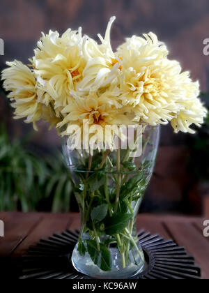 Splendid gelben Dahlien Blumenstrauß Stockfoto