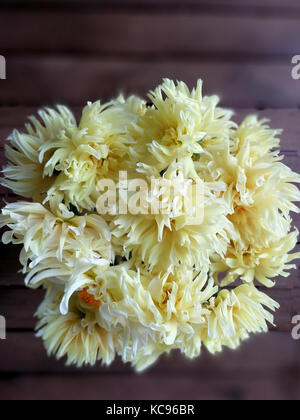 Herrlichen Blumenstrauß ohne Glas gelben Dahlien Stockfoto