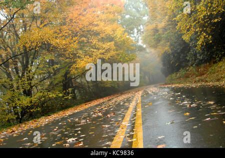 Herbst auf dem Blue Ridge Parkway Stockfoto