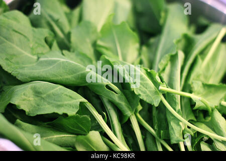 Grüne Blätter aus Rucola in eine silberne Schale Stockfoto