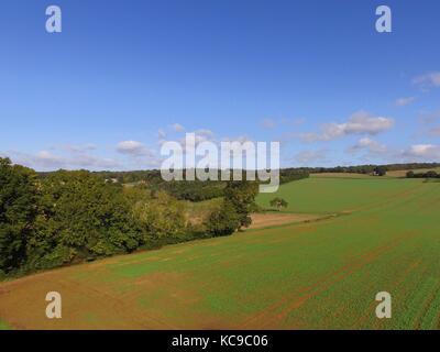 Drone noch Bild in einer Höhe von 300 ft über Ackerland im ländlichen Sussex, England. Stockfoto