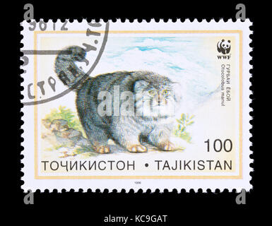 Briefmarke aus Tadschikistan Darstellung des Pallas cat (Otocolobus manul) Stockfoto