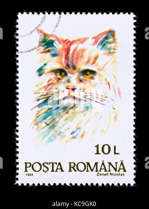 Briefmarke aus Rumänien, eine Katze. Stockfoto