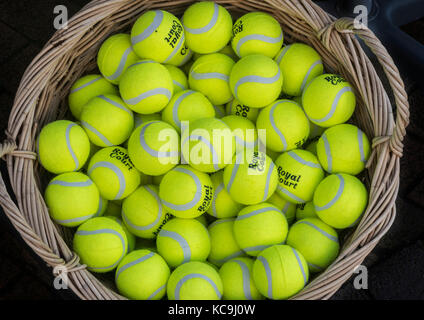 Ein Korb mit leuchtend gelben Tennisbällen gefüllt. Stockfoto