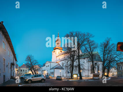 Tallinn, Estland. Berühmte Sehenswürdigkeiten Kathedrale der Heiligen Maria der Jungfrau oder Dom oder toomkirik bei der strassenbeleuchtung am Abend oder in der Nacht die Beleuchtung. Stockfoto