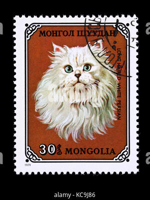 Briefmarke aus der Mongolei, ein persischer Langhaar Rasse der Hauskatze. Stockfoto