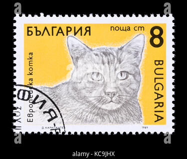 Briefmarke aus Bulgarien mit der Darstellung eines Tabby Stockfoto