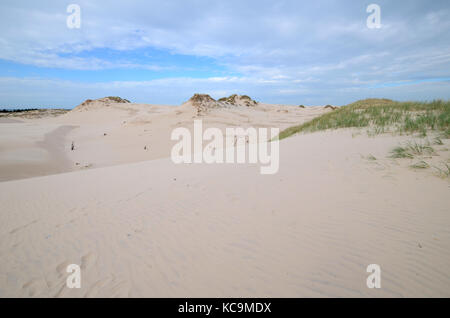 Sanddünen in der slowinski Nationalpark in Polen Stockfoto