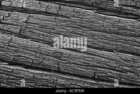 Die Struktur eines alten Pine Tree Trunk bei einem Waldbrand als Hintergrund verbrannt Stockfoto