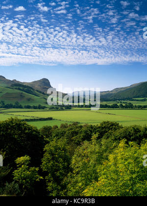 Craig Yr aderyn (Bird's Rock) von Castell y bere gesehen, dysynni Tal, abergynolwyn, North Wales. Der Kormoran Nistplatz, einmal an der Küste. Stockfoto