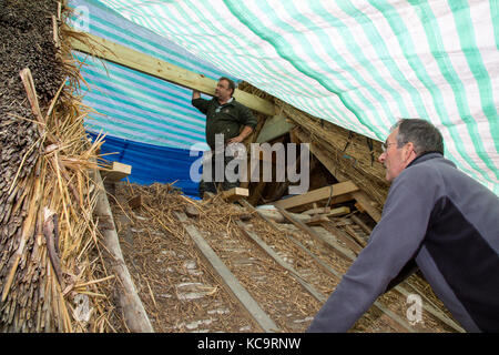 Reparieren und das Decken des Daches am Pflug Pub, Church Street, West hanney, Wantage, Oxfordshire, Großbritannien Stockfoto