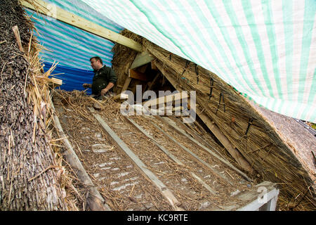 Reparieren und das Decken des Daches am Pflug Pub, Church Street, West hanney, Wantage, Oxfordshire, Großbritannien Stockfoto