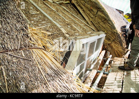 Reparieren und das Decken des Daches am Pflug Pub, Church Street, West hanney, Wantage, Oxfordshire, Großbritannien Stockfoto