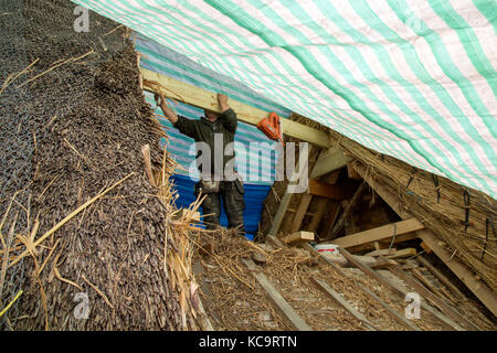 Reparieren und das Decken des Daches am Pflug Pub, Church Street, West hanney, Wantage, Oxfordshire, Großbritannien Stockfoto