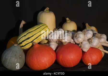 Winterspritzer, Kürbis, Butternut, pfeffrig, Delicata, auf schwarzem Hintergrund perfekt für Halloween, Stockfoto