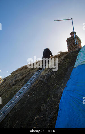 Reparieren und das Decken des Daches am Pflug Pub, Church Street, West hanney, Wantage, Oxfordshire, Großbritannien Stockfoto