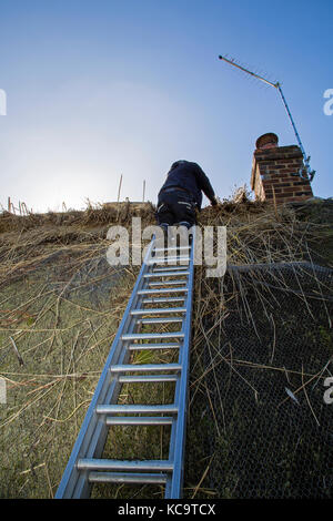 Reparieren und das Decken des Daches am Pflug Pub, Church Street, West hanney, Wantage, Oxfordshire, Großbritannien Stockfoto