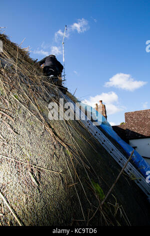 Reparieren und das Decken des Daches am Pflug Pub, Church Street, West hanney, Wantage, Oxfordshire, Großbritannien Stockfoto