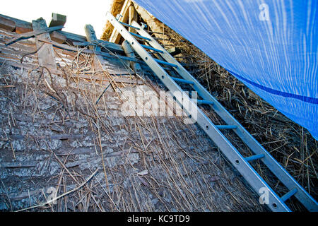 Reparieren und das Decken des Daches am Pflug Pub, Church Street, West hanney, Wantage, Oxfordshire, Großbritannien Stockfoto