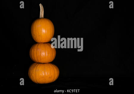 Winterspritzer, Kürbis, Butternut, pfeffrig, Delicata, auf schwarzem Hintergrund perfekt für Halloween, Stockfoto