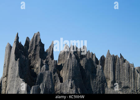 Scharfe santstone Felsen, großen Tsingy, Madagasacar, 2017 Stockfoto