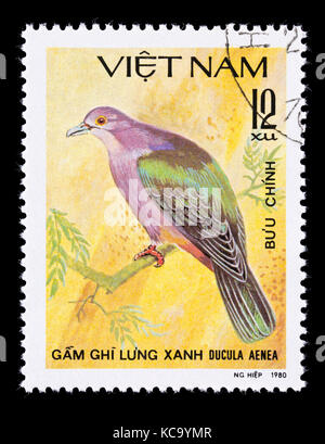 Briefmarke aus Vietnam mit der Darstellung eines grünen Imperial pigeon (Ducula aenea) Stockfoto