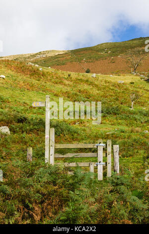 Ländliche Schild und hölzernen Stil auf einem Wanderweg, die den Berwyn Mountain Trail in Wales, Großbritannien Stockfoto