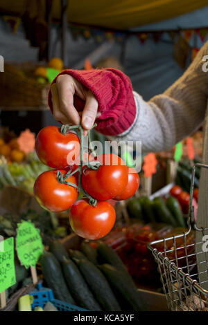 Frische, lokale, Bio Tomaten zum Verkauf an ein Bauernmarkt in Stroud Stockfoto