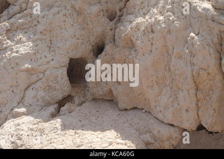 Felswand an Rosh Hanikra Stockfoto